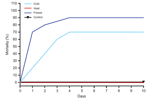 Line plot of cockroach death rate over 10 days for cold, freeze, heat, and control groups